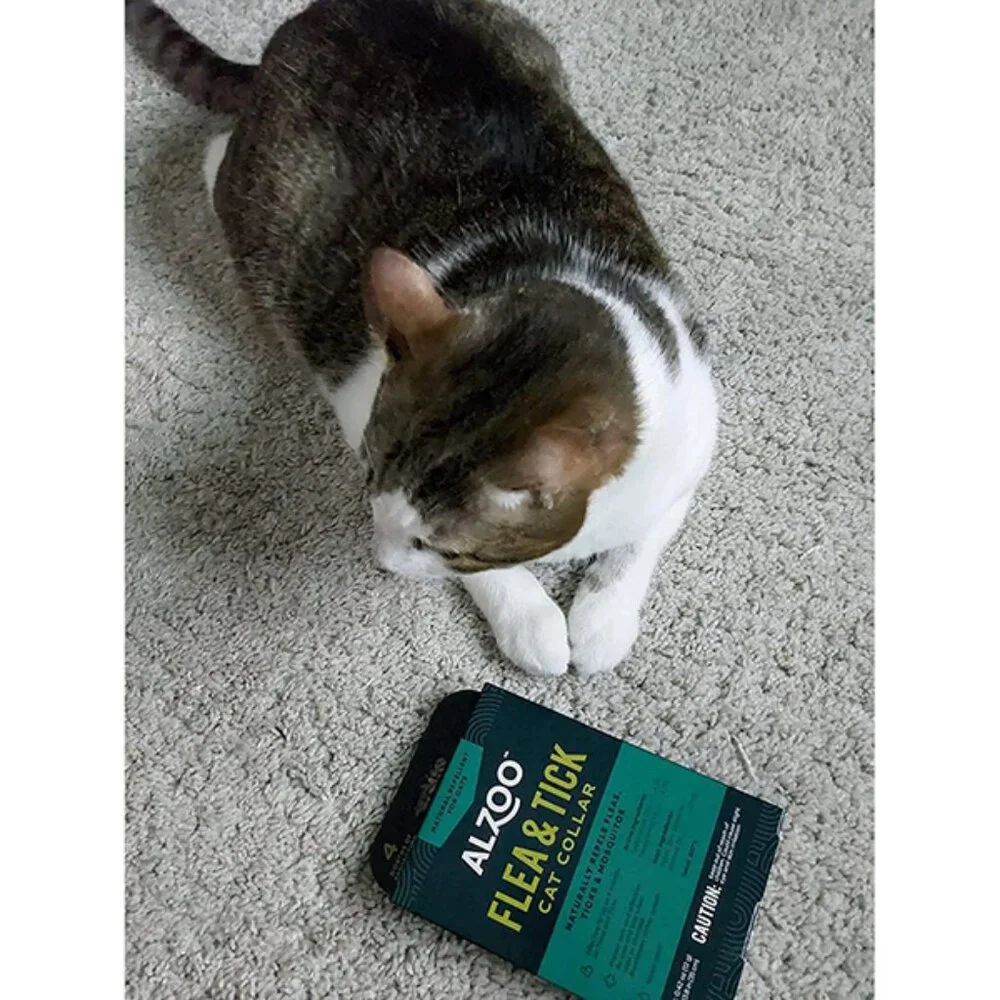 New Natural Flea and Tick Cat Collar with Plant-Based Ingredients 4-Month Use